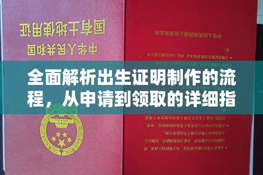 邵阳全面解析出生证明制作的流程，从申请到领取的详细指南